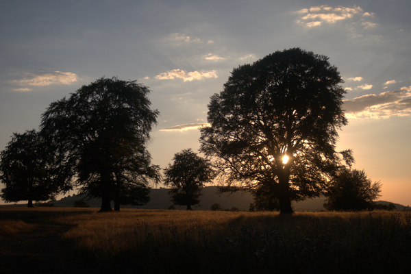 OLYMPUS DIGITAL CAMERA OLYMPUS DIGITAL CAMERA